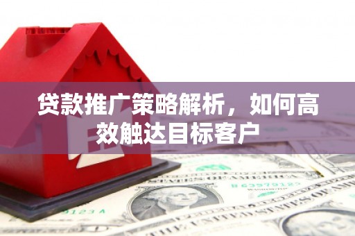 芒市贷款推广策略解析，如何高效触达目标客户