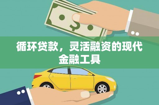 芒市循环贷款，灵活融资的现代金融工具
