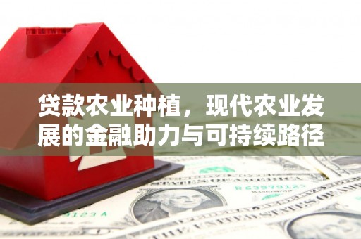 芒市贷款农业种植，现代农业发展的金融助力与可持续路径