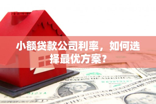 芒市小额贷款公司利率，如何选择最优方案？