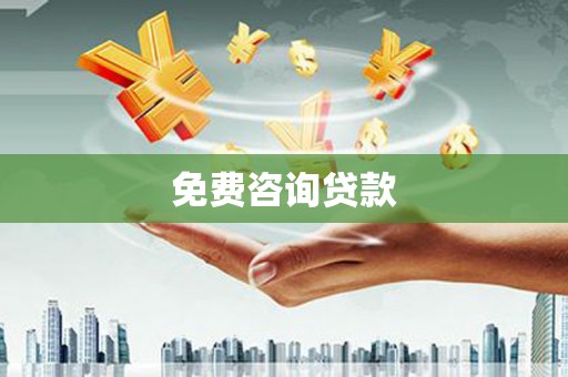 芒市免费咨询贷款