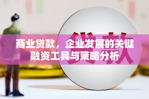 芒市商业贷款，企业发展的关键融资工具与策略分析