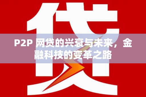 芒市P2P 网贷的兴衰与未来，金融科技的变革之路