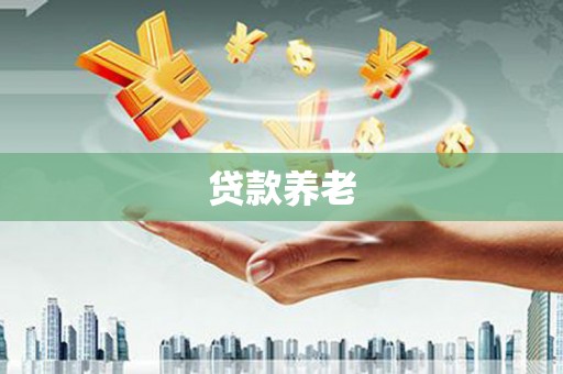 芒市贷款养老
