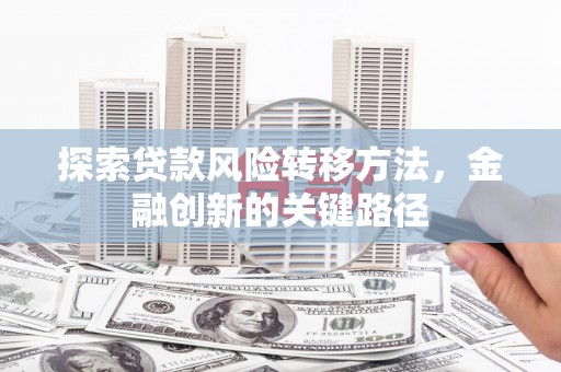 芒市探索贷款风险转移方法，金融创新的关键路径