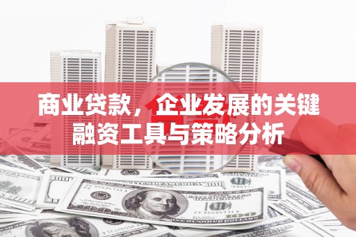芒市商业贷款，企业发展的关键融资工具与策略分析