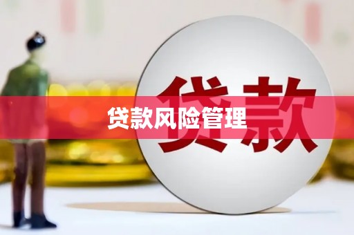 芒市贷款风险管理