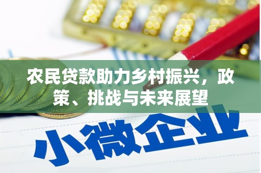 芒市农民贷款助力乡村振兴，政策、挑战与未来展望