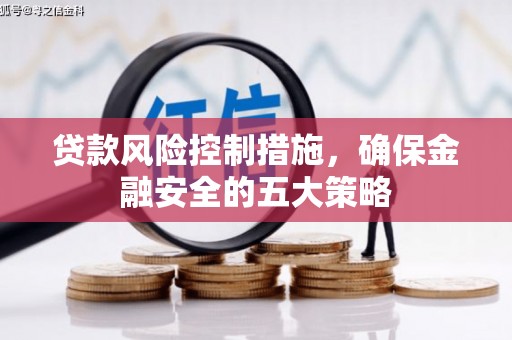 芒市贷款风险控制措施，确保金融安全的五大策略