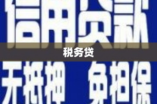 芒市税务贷