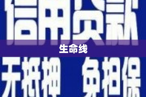芒市生命线
