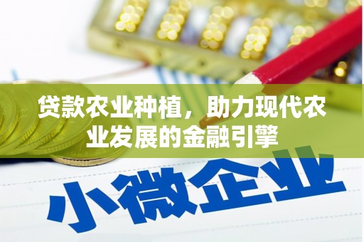 芒市贷款农业种植，助力现代农业发展的金融引擎