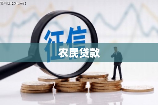 芒市农民贷款
