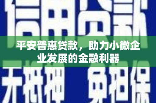 芒市平安普惠贷款，助力小微企业发展的金融利器
