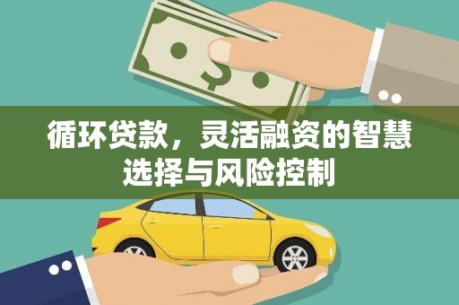 芒市循环贷款，灵活融资的智慧选择与风险控制