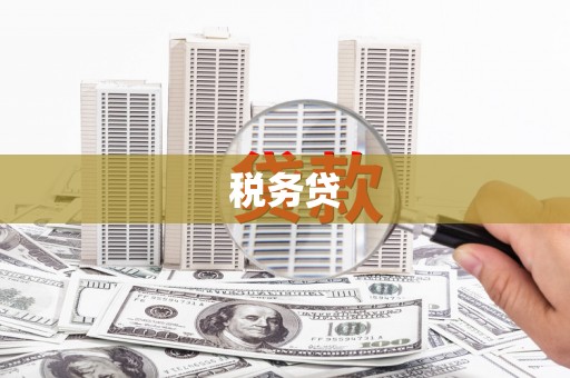 芒市税务贷