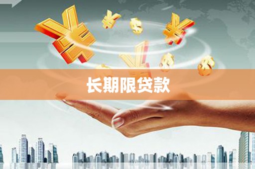 芒市长期限贷款