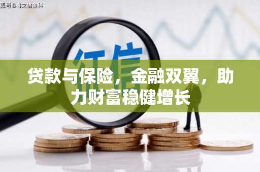芒市贷款与保险，金融双翼，助力财富稳健增长