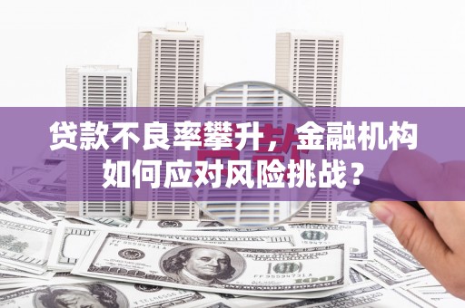 芒市贷款不良率攀升，金融机构如何应对风险挑战？