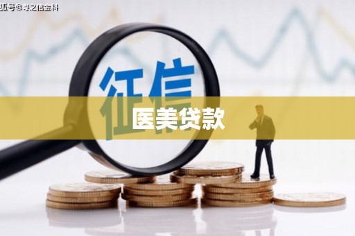 芒市医美贷款