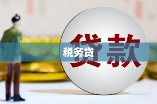 芒市税务贷