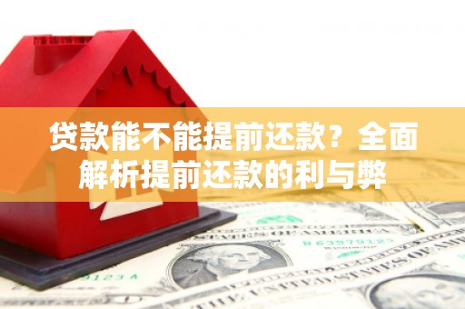 芒市贷款能不能提前还款？全面解析提前还款的利与弊