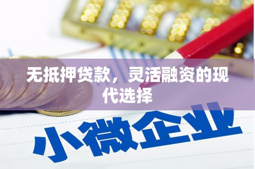 芒市无抵押贷款，灵活融资的现代选择