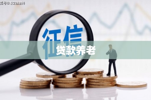 芒市贷款养老