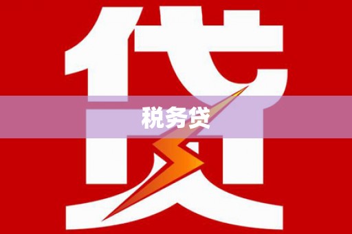 芒市税务贷