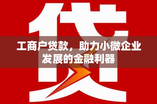 芒市工商户贷款，助力小微企业发展的金融利器