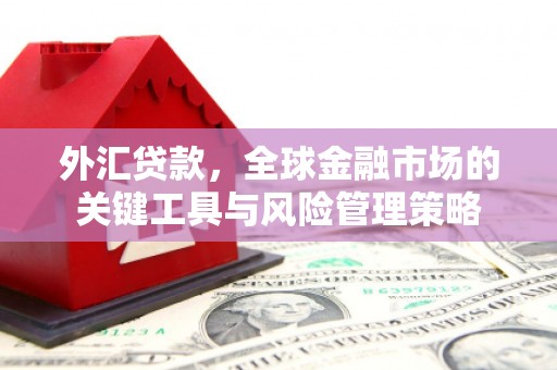 芒市外汇贷款，全球金融市场的关键工具与风险管理策略