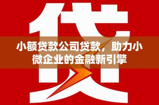 芒市小额贷款公司贷款，助力小微企业的金融新引擎