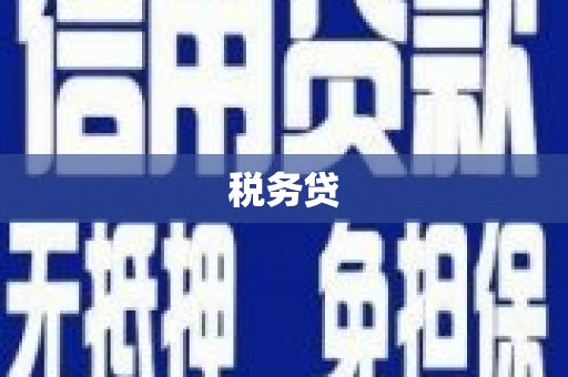 芒市税务贷