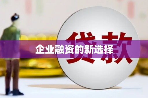 芒市企业融资的新选择