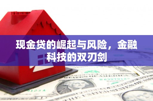 芒市现金贷的崛起与风险，金融科技的双刃剑