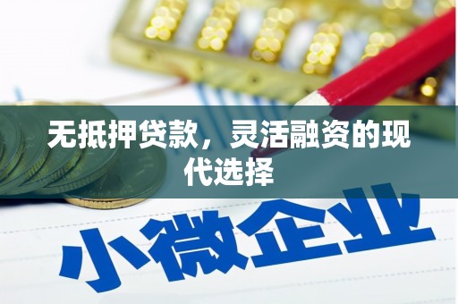 芒市无抵押贷款，灵活融资的现代选择