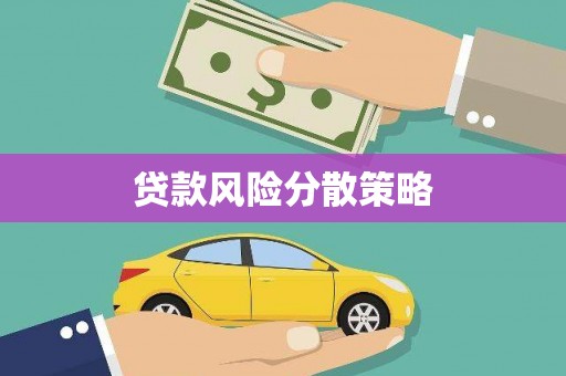 芒市贷款风险分散策略