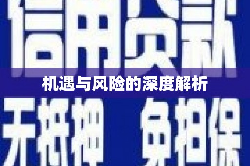 芒市机遇与风险的深度解析