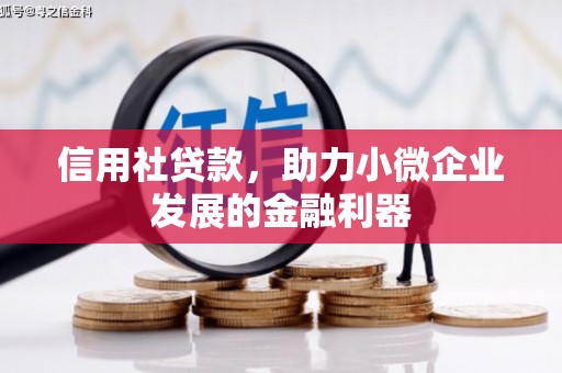 芒市信用社贷款，助力小微企业发展的金融利器