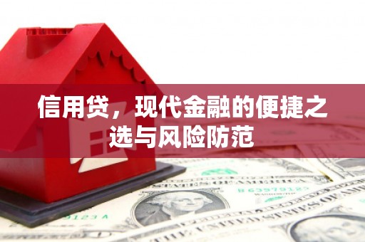 芒市信用贷，现代金融的便捷之选与风险防范
