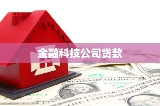 芒市金融科技公司贷款