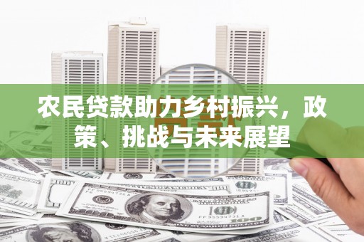 芒市农民贷款助力乡村振兴，政策、挑战与未来展望