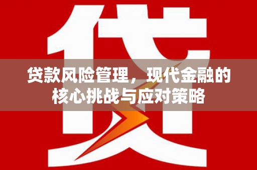 芒市贷款风险管理，现代金融的核心挑战与应对策略