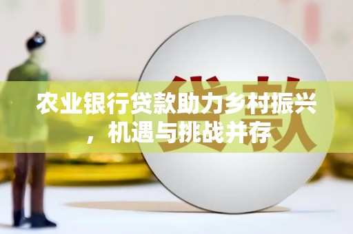 芒市农业银行贷款助力乡村振兴，机遇与挑战并存