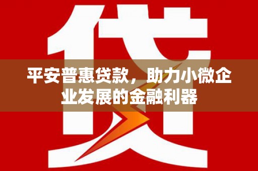 芒市平安普惠贷款，助力小微企业发展的金融利器