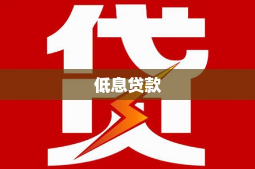 芒市低息贷款