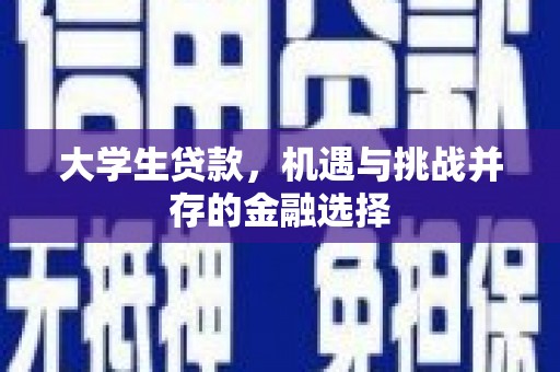 芒市大学生贷款，机遇与挑战并存的金融选择
