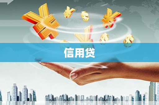 芒市信用贷
