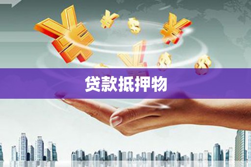 芒市贷款抵押物