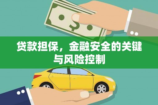 芒市贷款担保，金融安全的关键与风险控制